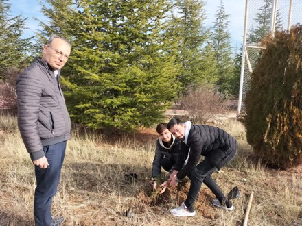 Her Çalışan Bir Fidan
